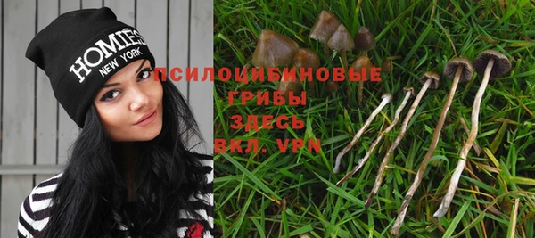 МДПВ Вязники