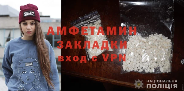 ПСИЛОЦИБИНОВЫЕ ГРИБЫ Вяземский