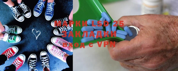 ПСИЛОЦИБИНОВЫЕ ГРИБЫ Вяземский