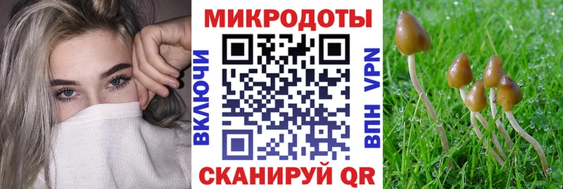 Галлюциногенные грибы Psilocybe  наркота  Елец 